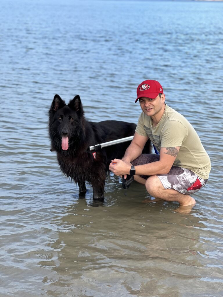 Beach Canine degenerative myelopathy K9 Aquatic Therapy and Conditioning owner operator at Coomera Rick Sofara