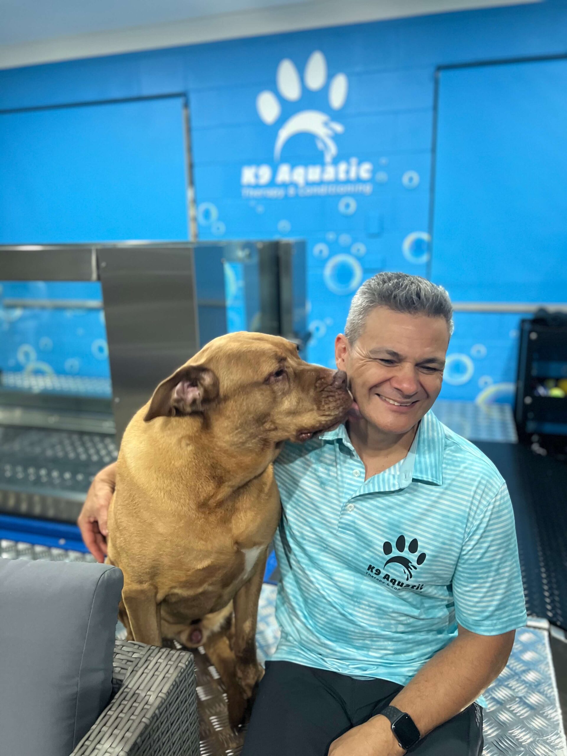 Canine Dog Hydrotherapy Dogue de Bourdeaux French Mastiff Rehabilitation with owner operator at Coomera 